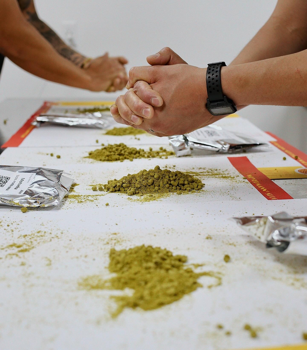 みっふぃー　オールドゴースト oldghosts XL 38 OLD GHOSTS 14枚のレア度とデザインを解説 - YouTube